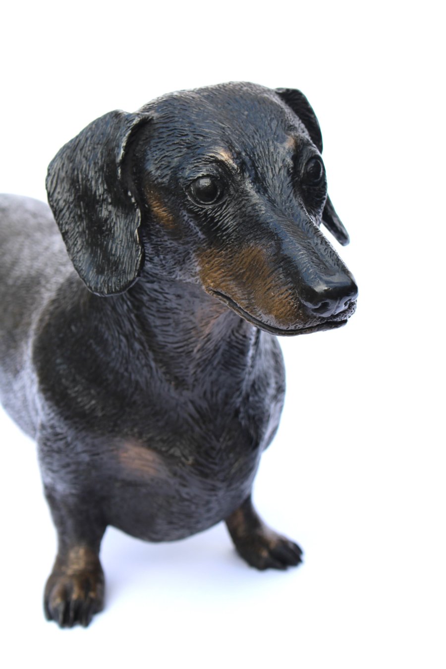 Life size bronze sculpture of a Dachshund