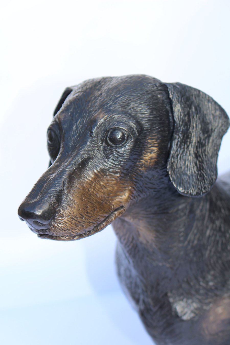 Life size bronze sculpture of a Dachshund