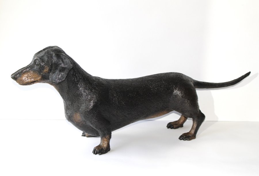 Life size bronze sculpture of a Dachshund