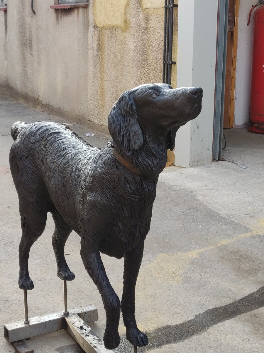 Flat-coated Retriever bronze sculpture