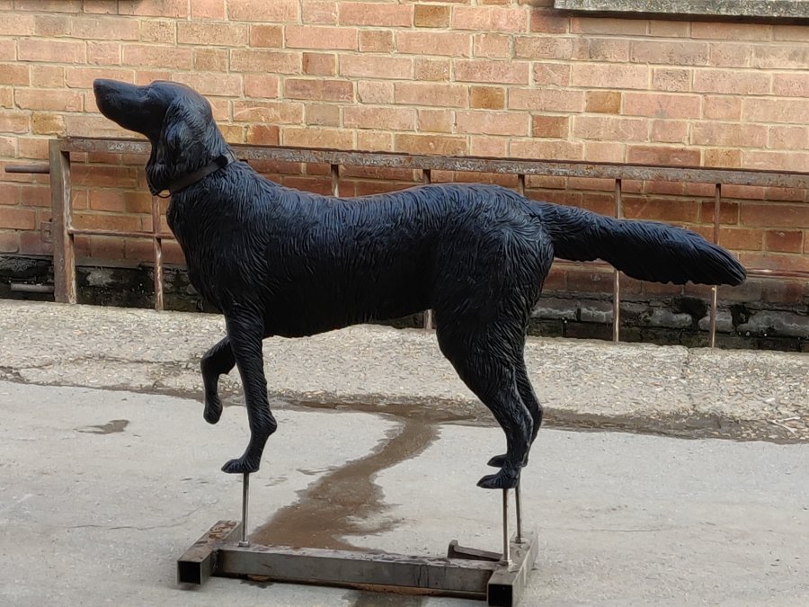 Flat-coated Retriever bronze sculpture