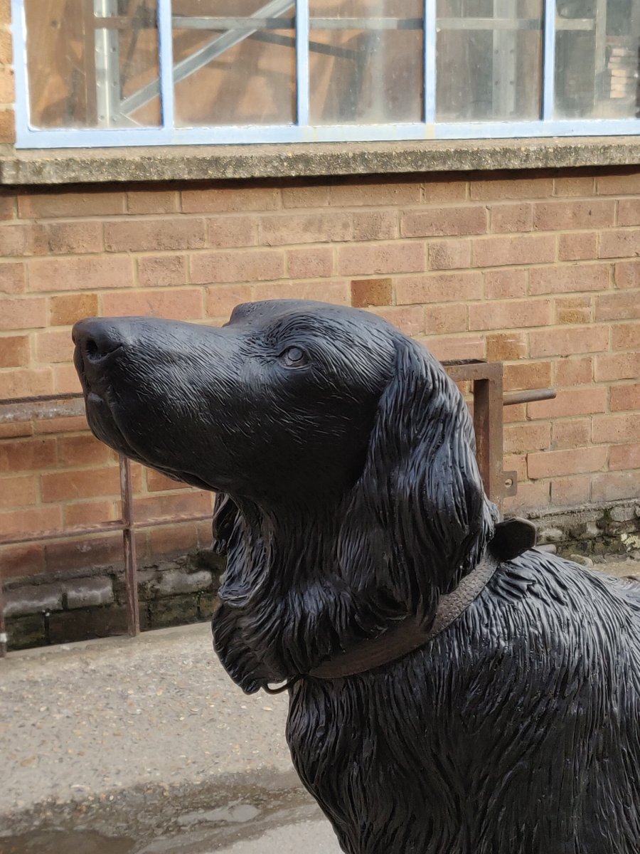 Close-up of head of Flat-coated Retriever bronze sculpture