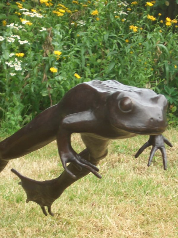 Leaping Frog